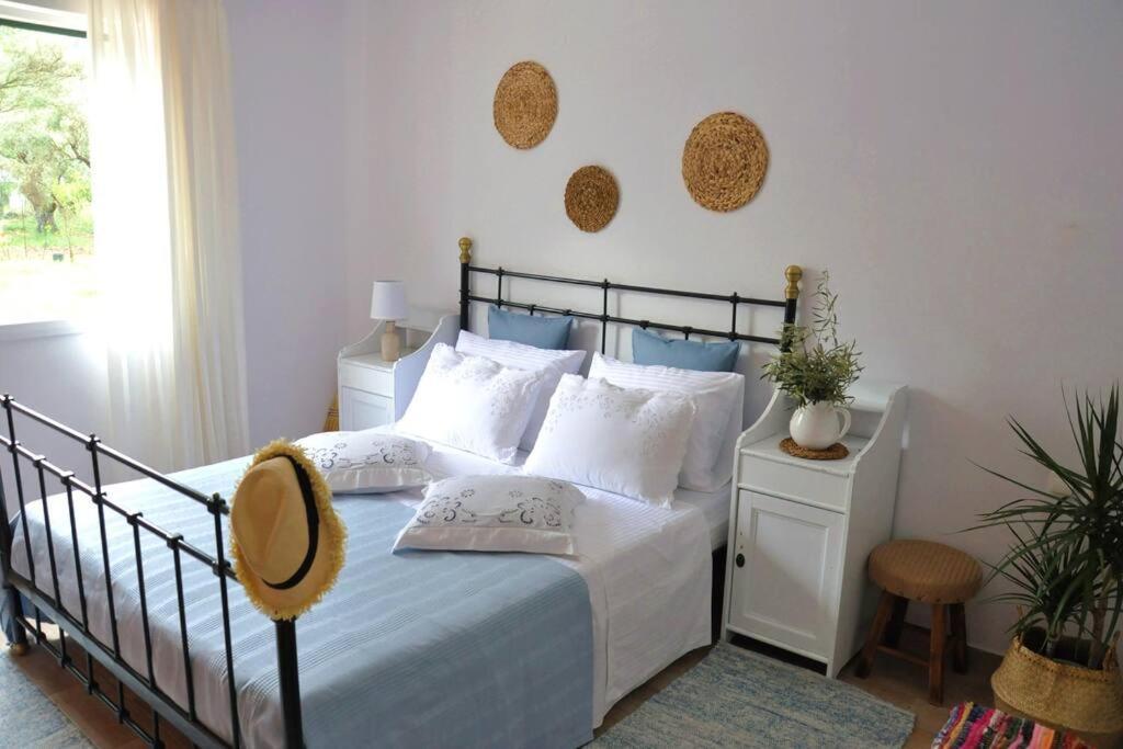 Villa Erietta Near Lefkas Center Apolpaina Esterno foto
