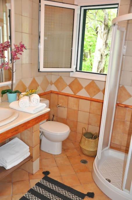 Villa Erietta Near Lefkas Center Apolpaina Esterno foto