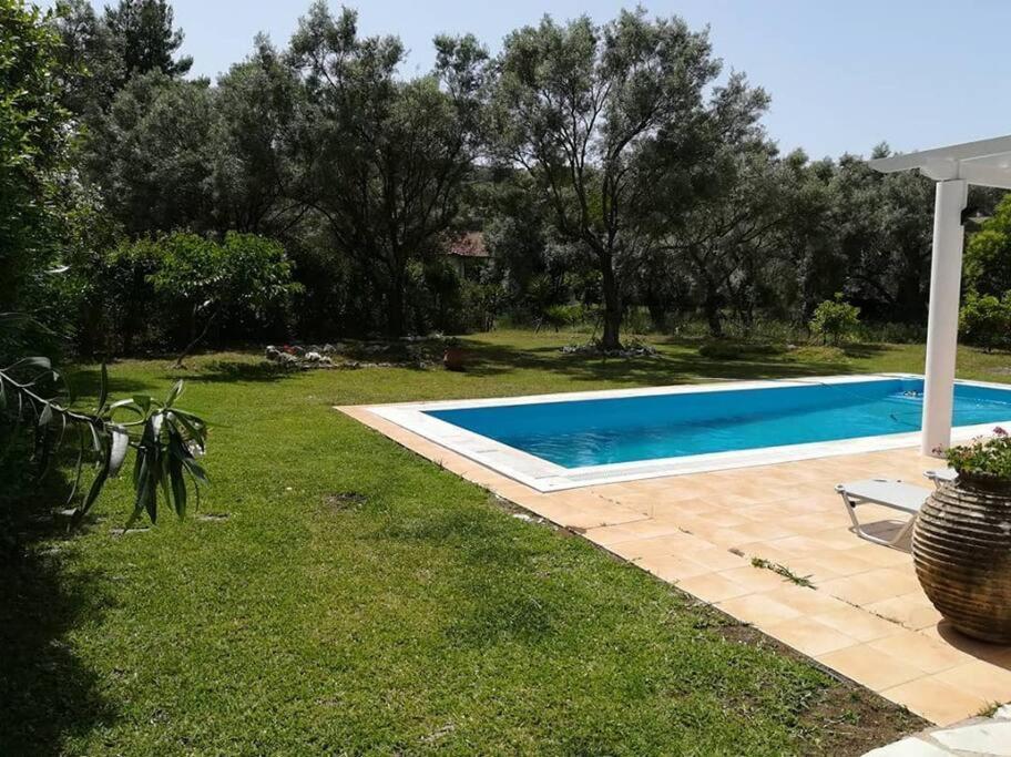 Villa Erietta Near Lefkas Center Apolpaina Esterno foto
