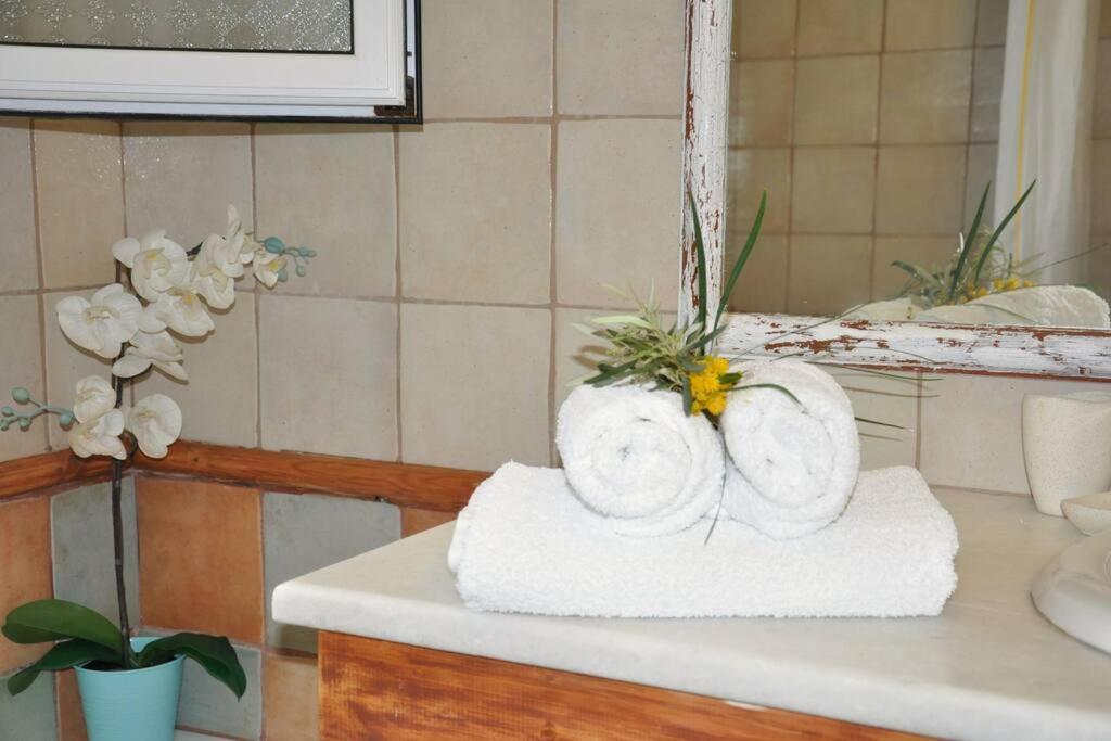 Villa Erietta Near Lefkas Center Apolpaina Esterno foto