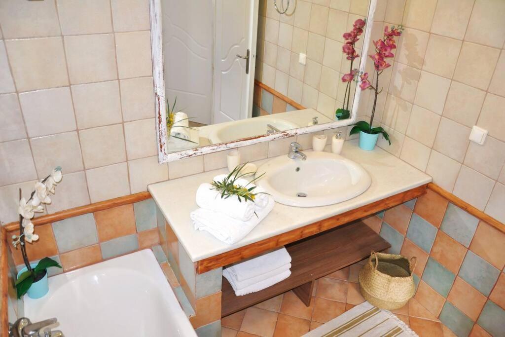 Villa Erietta Near Lefkas Center Apolpaina Esterno foto