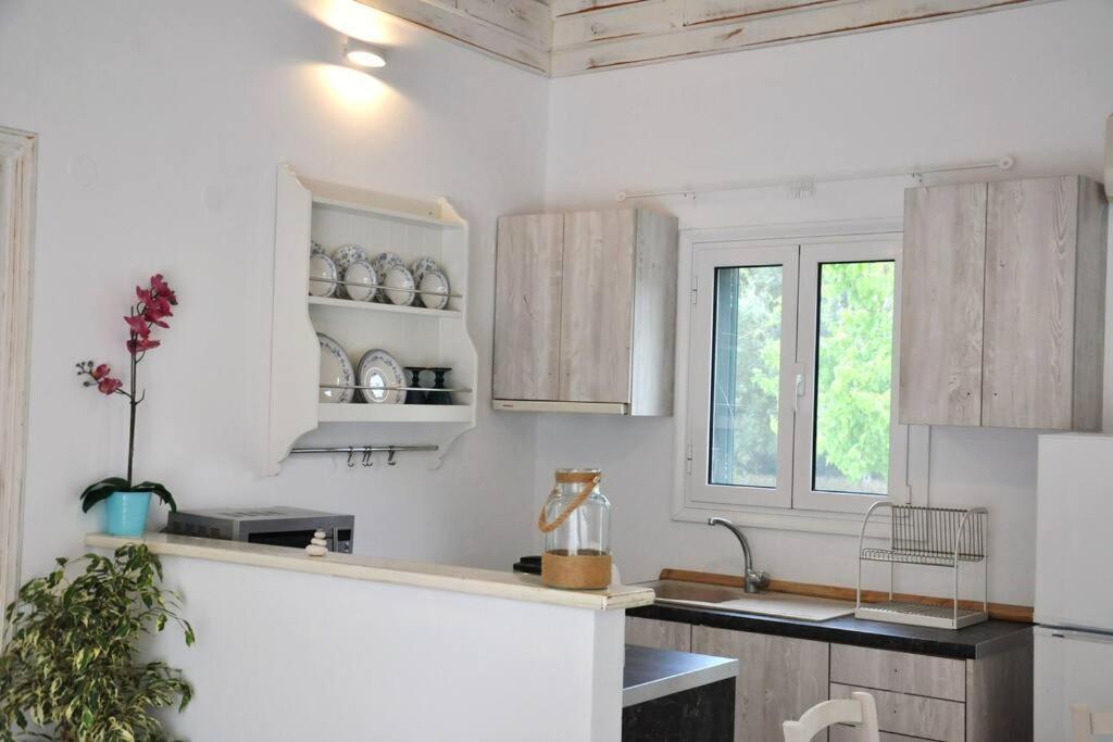 Villa Erietta Near Lefkas Center Apolpaina Esterno foto