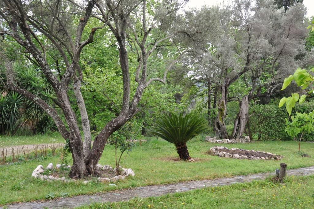 Villa Erietta Near Lefkas Center Apolpaina Esterno foto